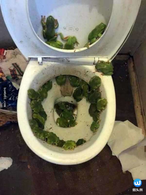 神奇而诡异的27张图,26张不可思议的相片