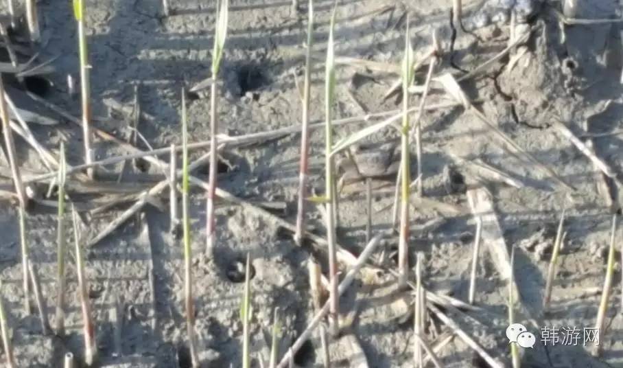 老司机的韩国南部深度游！老司机请带带我这才叫旅游！