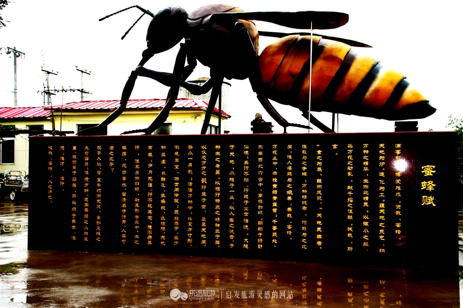 石家庄赞皇特产枣花,赞皇枣花