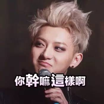 前方大波怪物，荷兰豆射手准备