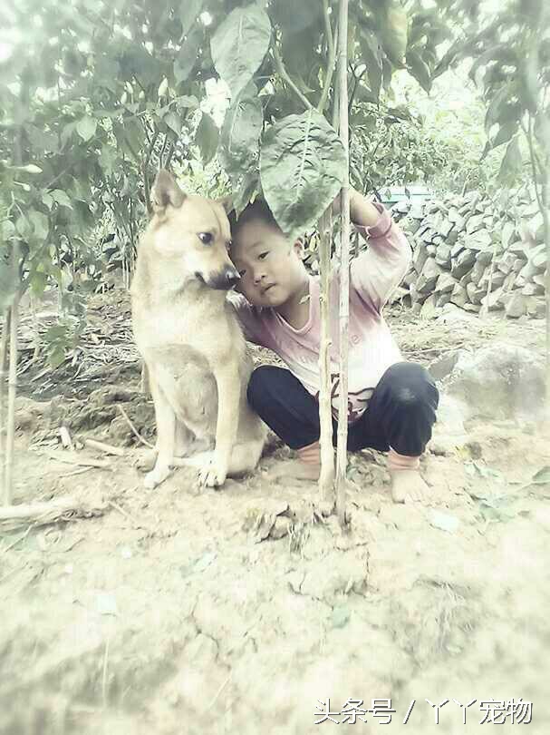 不穿鞋的原因竟然是？还好狗狗陪着你们我很放心