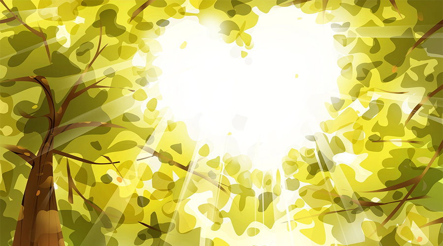 想做个销售先学会这几招,销售入门要做好的几个点