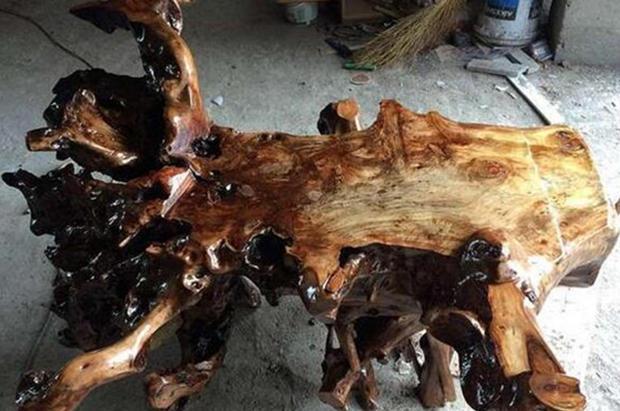 老树根自制茶台图片,绿化带捡的普通树根做茶台