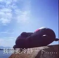 新手化妆教程化妆刷5支就够,新手用化妆刷哪个牌子的好用些