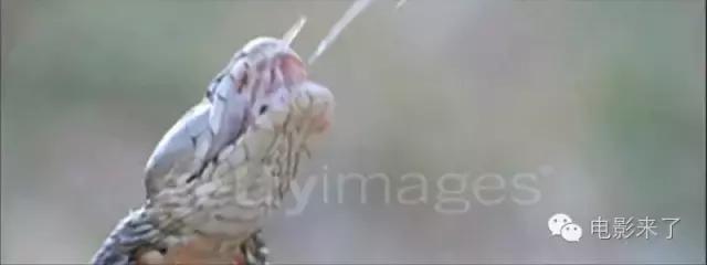 陆垚知马俐备胎转正,陆垚知马俐最后啥意思