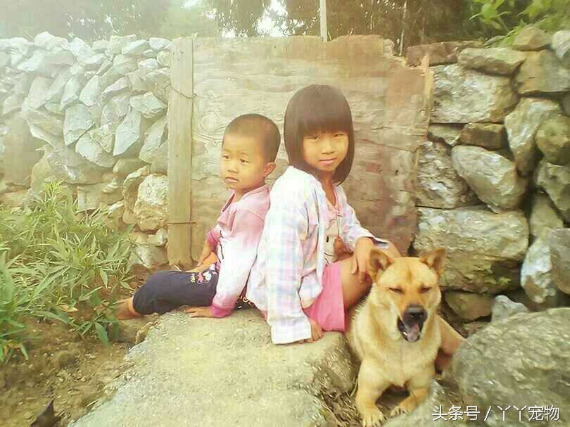 不穿鞋的原因竟然是？还好狗狗陪着你们我很放心