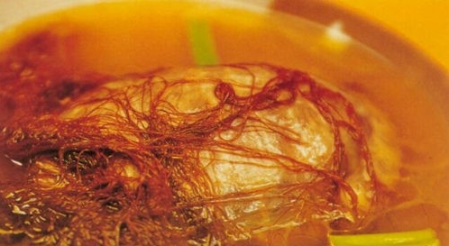 女孩功血的最佳治疗方法,女性补气益血食疗