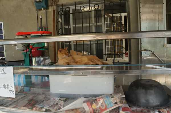 在台湾流浪14天~火星人的环岛路线！