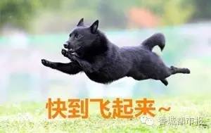 这是闹哪样?七夕,咸宁一楼盘竟给小孩送避孕套!