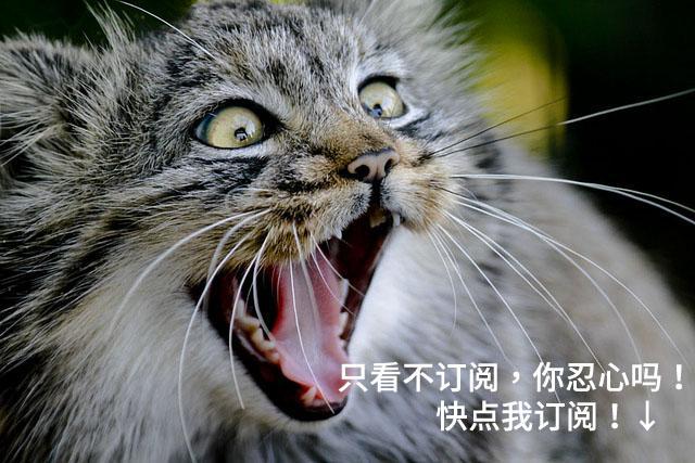 柯洁再战围棋人工智能,柯洁围棋大战ai全过程