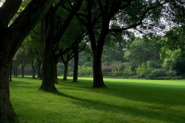 上海西郊宾馆可以参观吗,上海西郊宾馆游玩心得