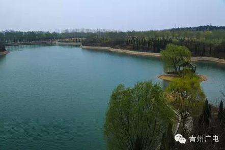 从不羡慕北上广，我在青州挺好的！