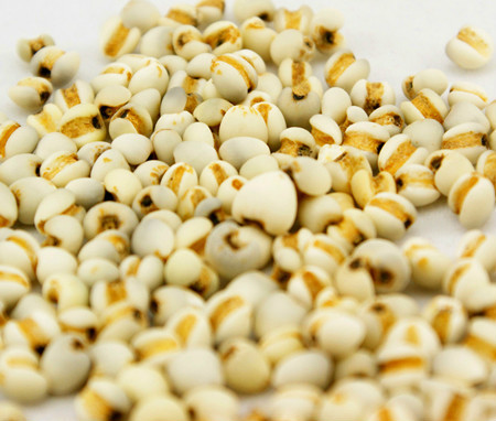 五谷杂粮食疗养生的功效有哪些,养生五谷粥里都有什么