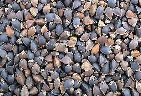 五谷杂粮食疗养生的功效有哪些,养生五谷粥里都有什么