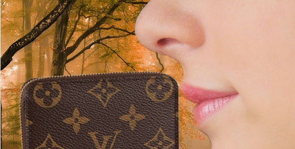 教你如何辨别奢侈品lv包的真假,lv皮带真假辨别最快的方法