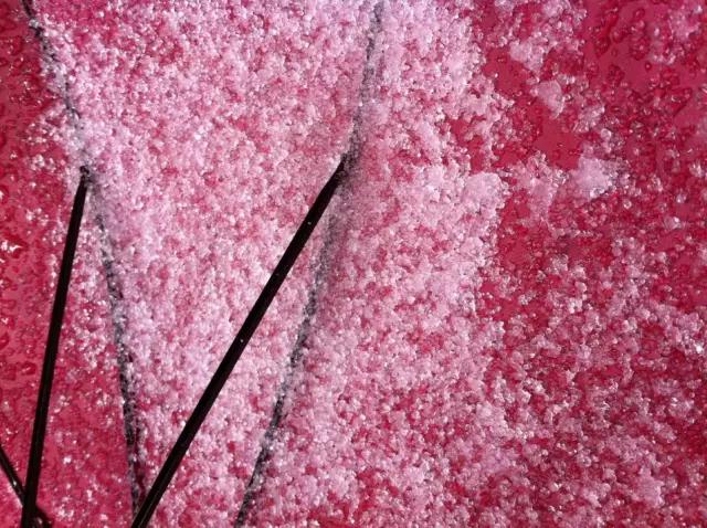 东莞第一场雪哪一年,东莞哪一年下过雪