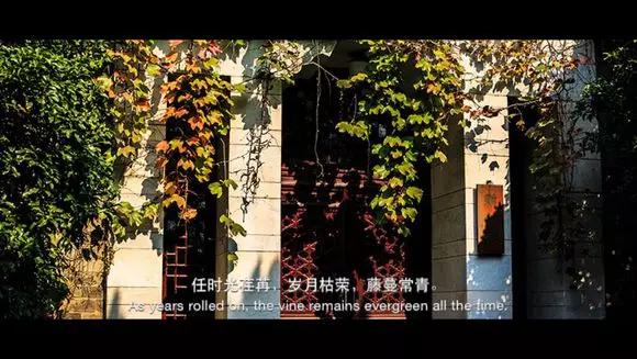 京大学院,京大中文系