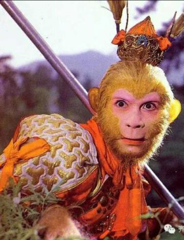 对猴年春晚的看法,猴年春晚环节