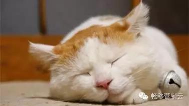 新年愿望的说说,说说你的新年愿望