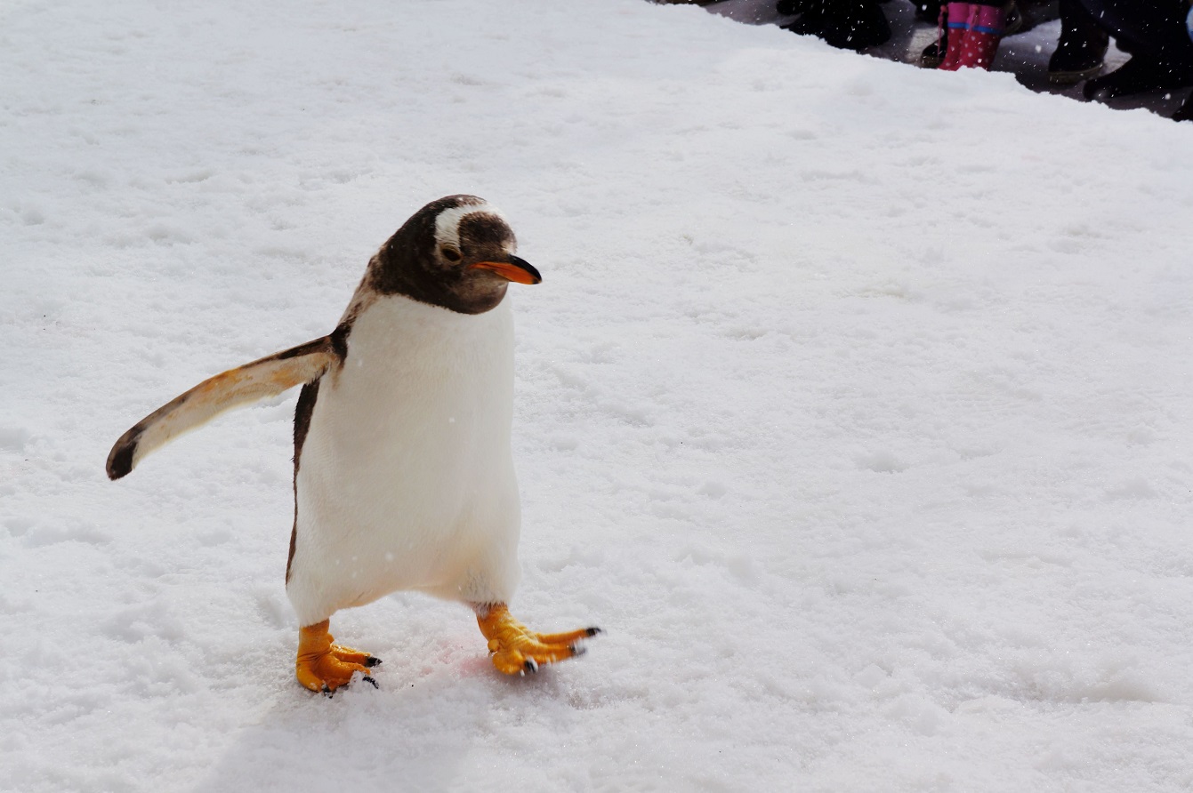 glove守门员手套,gloves守门员手套