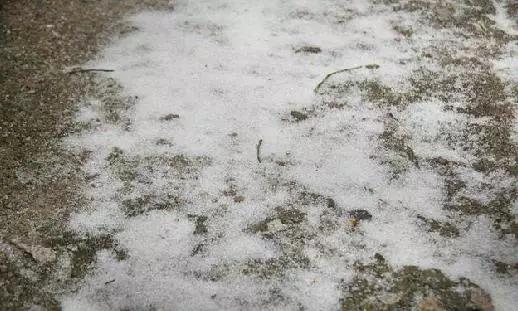 东莞第一场雪哪一年,东莞哪一年下过雪