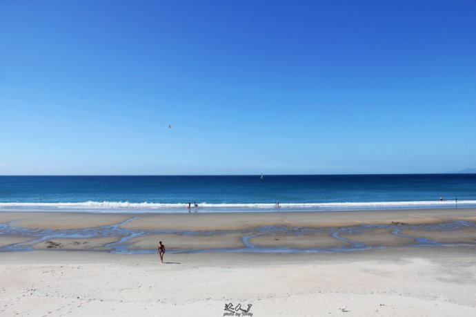 到怀希基岛,品酒-看海