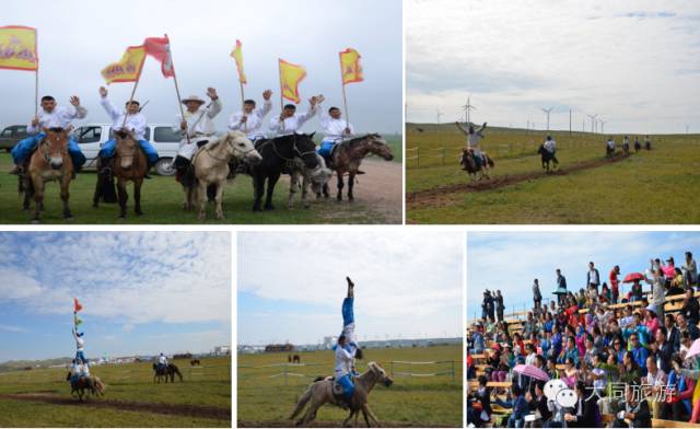 辉腾锡勒黄花沟草原旅游区花海,黄花沟窝阔台草原