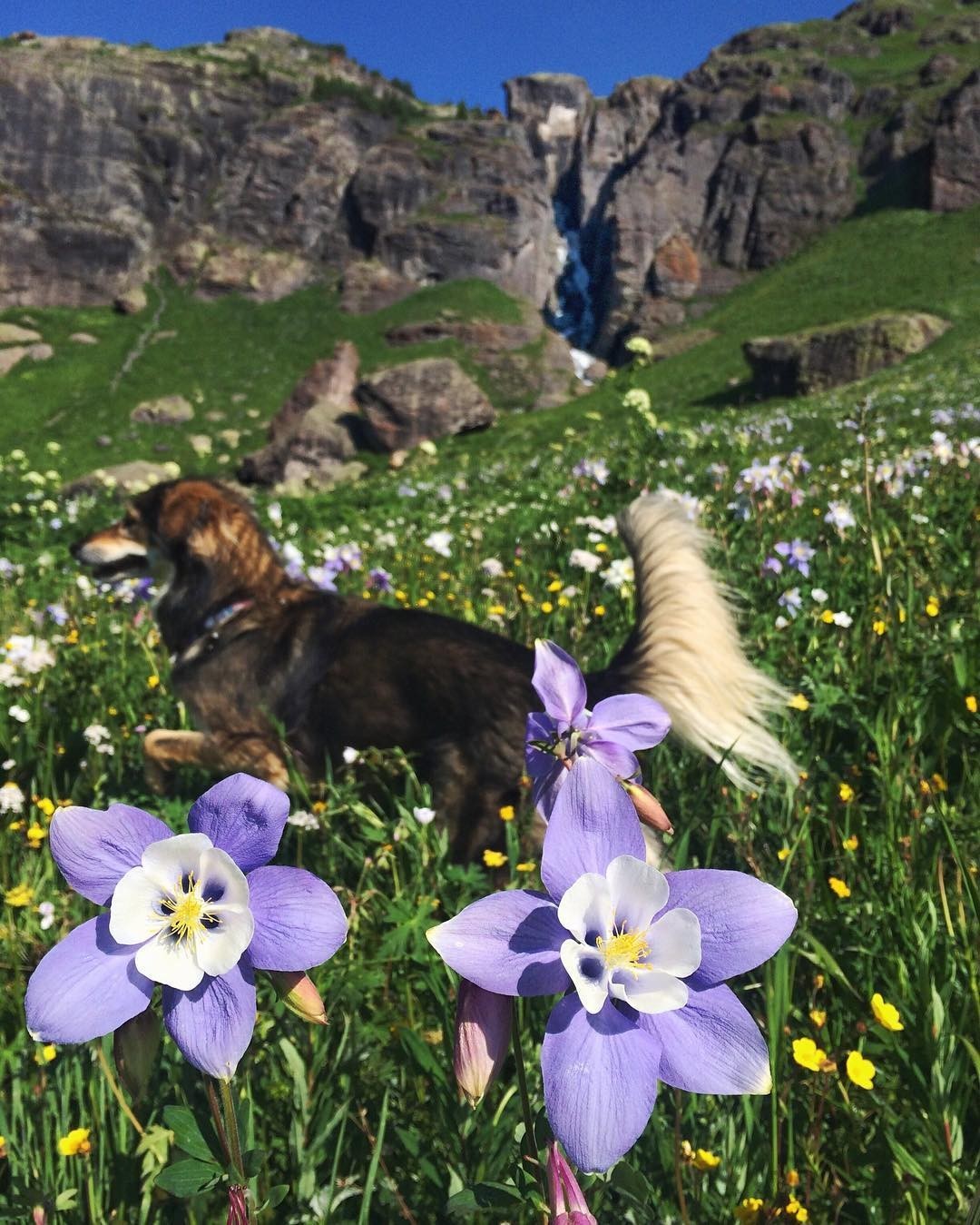 8个「无动物实验」美妆|好用好看安全人道，没理由不试试啊！