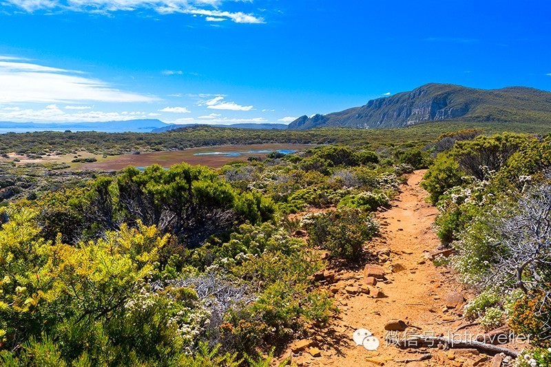 星球坐标|塔斯马尼亚：世界反面的反面，是怎样的狂野景象