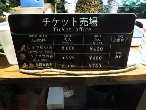 日本猫咖啡店,孟加拉猫咖啡