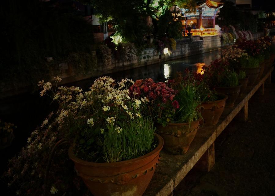 合肥自驾云南旅游攻略自由行详细,合肥去云南旅游攻略