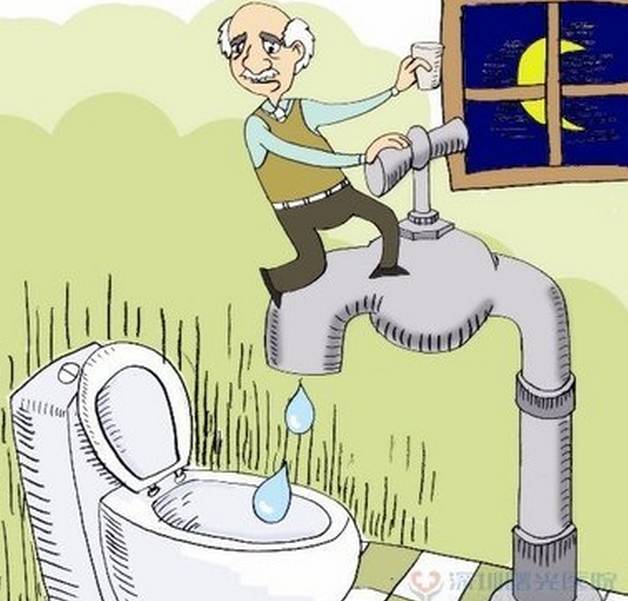 前列腺预防吃什么食物,能治疗男性前列腺的食物