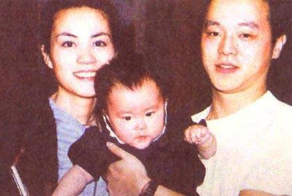 王菲人间理想,王菲人间别样景致