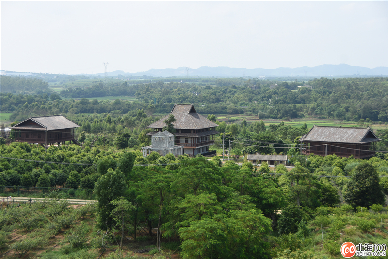 周末去哪儿玩？小编带你去合浦七里香茶庄园和石康镇“小村故事”