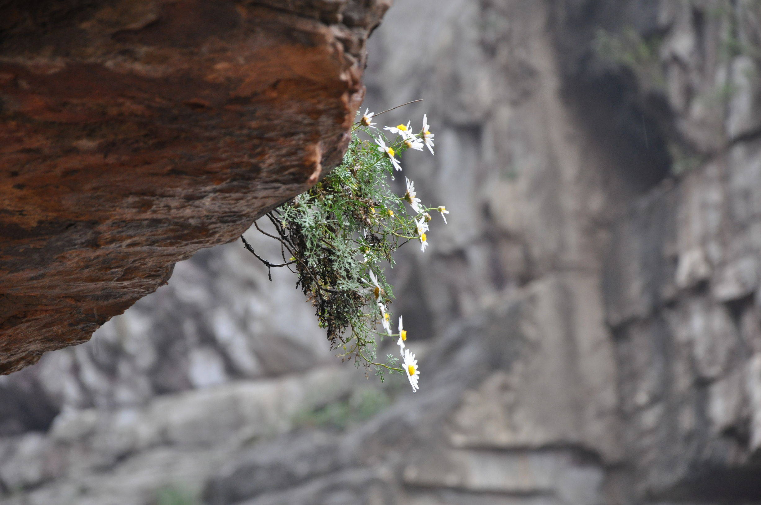 十一只有三天假期去哪里?记武汉至云台山郭亮村旅游攻略
