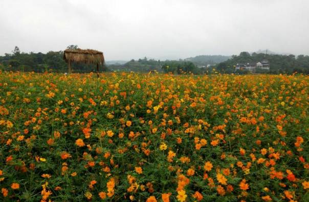 以后谁再跟你说巴南不好，就把这条微信甩给他