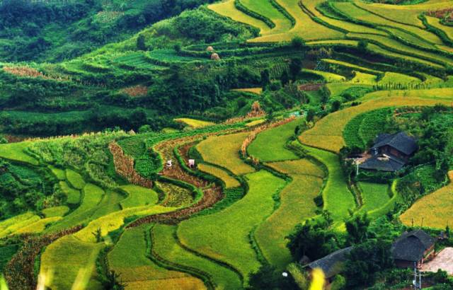 以后谁再跟你说巴南不好，就把这条微信甩给他