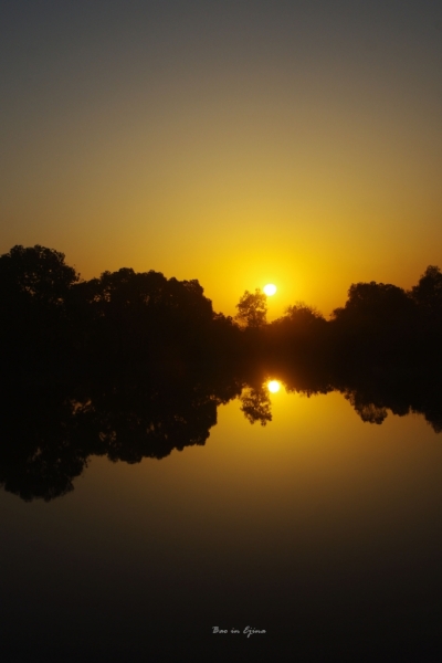 成都自驾额济纳旗攻略,额济纳旗深度游旅行攻略