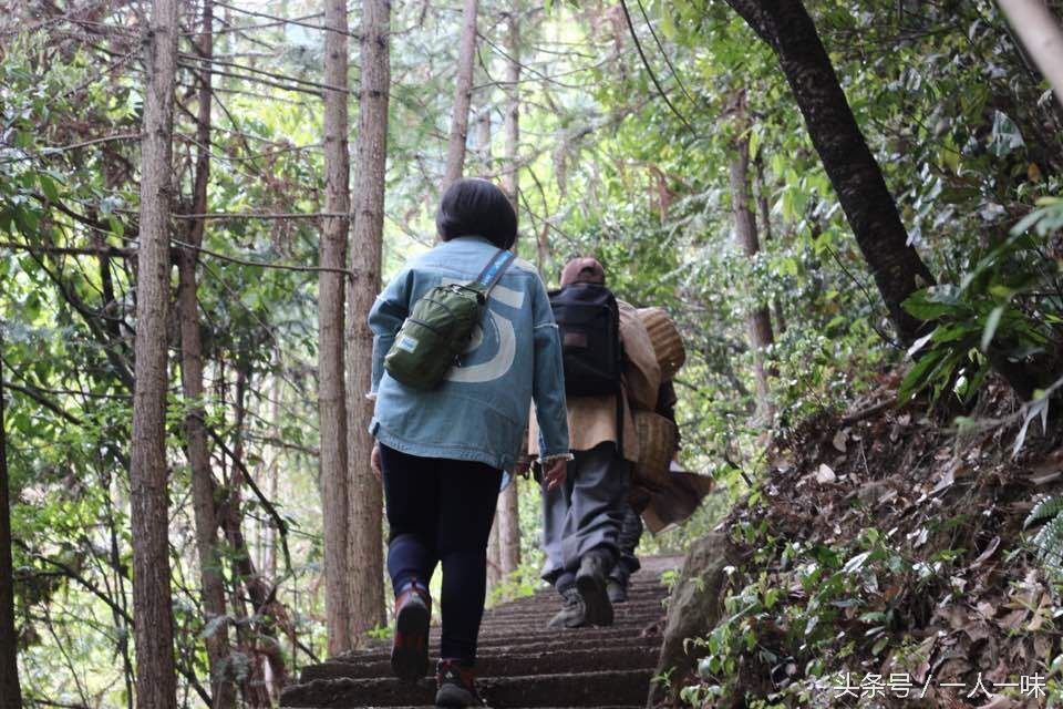 天目山必去八个景点,天目山必去三大景点