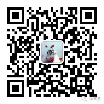 11朵玫瑰代表什么寓意,11朵玫瑰花语的含义