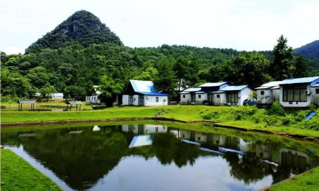 一个老板挖个鱼塘,杭州一老板挖个鱼塘