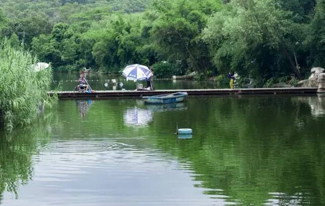 一个老板挖个鱼塘,杭州一老板挖个鱼塘