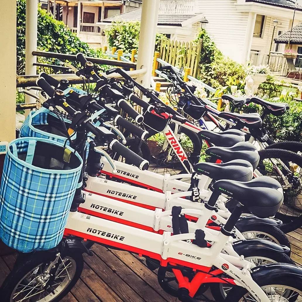 文艺女青年的四大归宿,文艺女青年喜欢去的地方有哪些