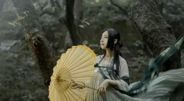 汉服之美谓之华作文,汉服之美的文章