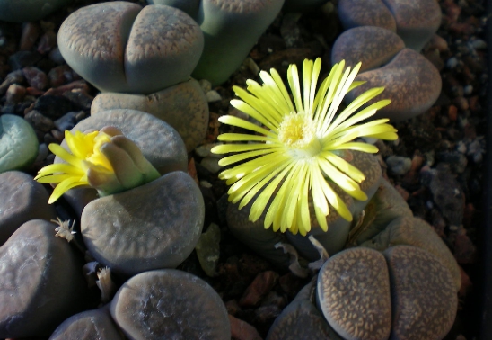 稀奇景色,稀奇风景原创素材