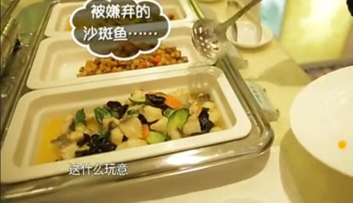 万达总裁王健林简历,王健林万达董事长生涯