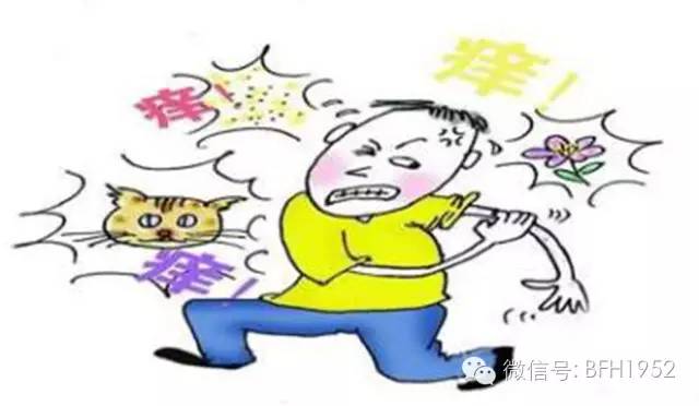 过敏真相科普,友谊科普知识大全