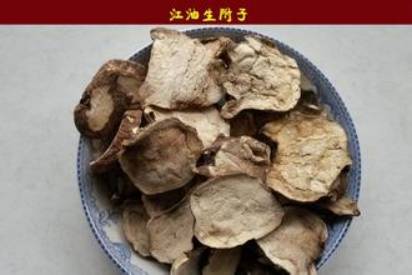 中药知识必学牡蛎,中药知识必学泽兰