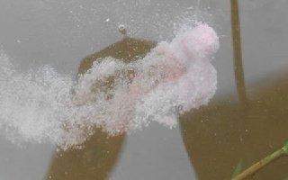 黑坑钓鲤鱼大师视频,台钓高手钓鱼完整版