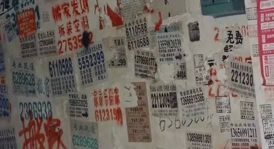 最新进展!黄圃小车坠河事件车主身份初步确定|速览